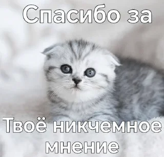 🌟 emoji котэк кнопка Telegram sticker 11 of 47