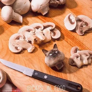 🧁 emoji аккуратно, не съешьте кота Telegram sticker 14 of 120