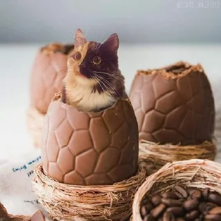 🧁 emoji аккуратно, не съешьте кота Telegram sticker 21 of 120