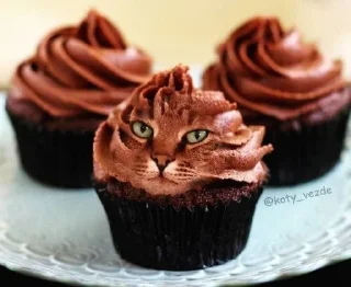 🧁 emoji аккуратно, не съешьте кота Telegram sticker 7 of 120