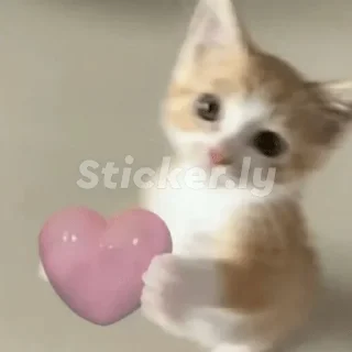 💕 emoji Чта Telegram sticker 6 of 11