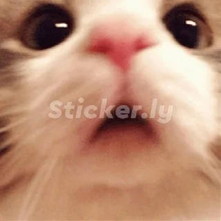 😳 emoji Чта Telegram sticker 11 of 11