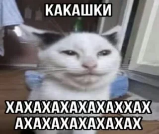 🌟 emoji ааа лютка будка Telegram sticker 18 of 24