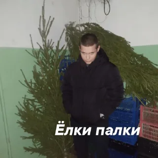 🌲 emoji Суета Telegram sticker 8 of 35
