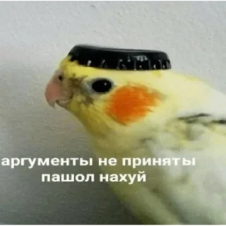 💪 emoji господи спаси и сохрани Telegram sticker 8 of 35