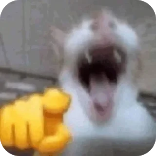 😹 emoji Издевательство Telegram sticker 16 of 23