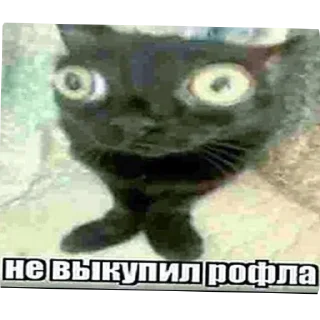 🖼 emoji Издевательство Telegram sticker 20 of 23