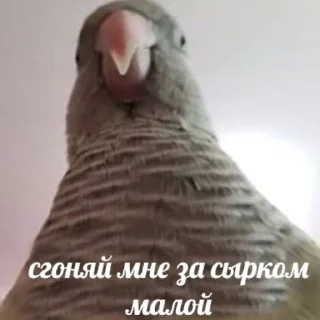 Sticker from Для переговоров
