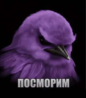 Sticker from Птицы сомнения @joziesittv