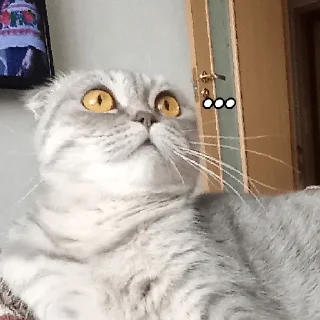😐 emoji ~Алиса агро~ Telegram sticker 23 of 74