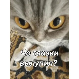 🧐 emoji ~Алиса агро~ Telegram sticker 8 of 74