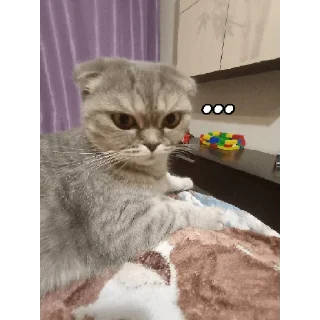 😩 emoji ~Алиса агро~ Telegram sticker 5 of 74