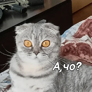 🤨 emoji ~Алиса агро~ Telegram sticker 19 of 74