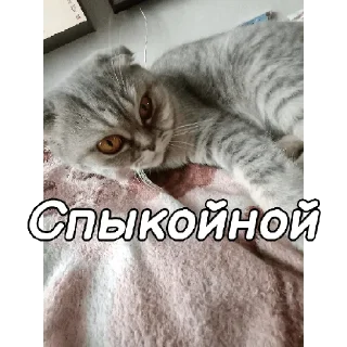 😪 emoji ~Алиса агро~ Telegram sticker 16 of 74