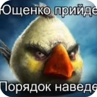 Sticker from Злые птицы