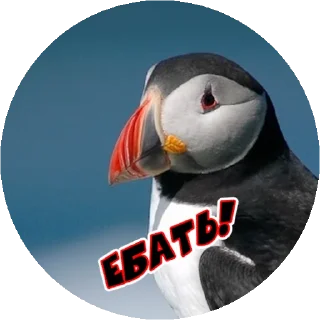 😩 emoji Angry @stickersb2b Telegram sticker 19 of 35