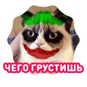 🙃 emoji Тигр стикер Telegram sticker 20 of 20