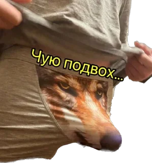 🐺 emoji Любимые картинки Telegram sticker 15 of 96