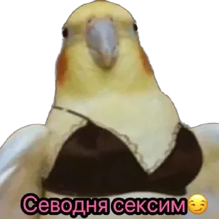🔞 emoji Любимые картинки Telegram sticker 11 of 96
