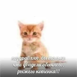 🌟 emoji Рыжий • @TgStickery Telegram sticker 15 of 100