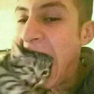 Sticker from memes
