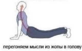 🌟 emoji 🐋 Weak Whale Telegram sticker 18 of 37