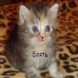 😐 emoji куча г..всего Telegram sticker 5 of 120