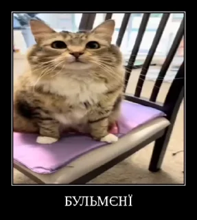 🌟 emoji Куча Лун :: Автор:@Skuerny Telegram sticker 16 of 120