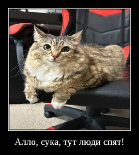 🌟 emoji Куча Лун :: Автор:@Skuerny Telegram sticker 9 of 120