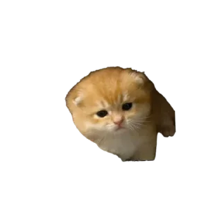 Sticker from Ух ля