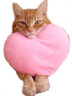 😑 emoji Strange Humor @stickersb2b Telegram sticker 16 of 19