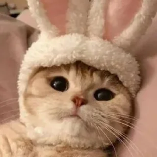 🐰 emoji Мили серлечки Telegram sticker 15 of 60
