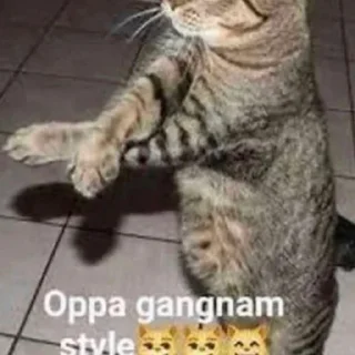 🍡 emoji Miau 😓 Telegram sticker 17 of 60