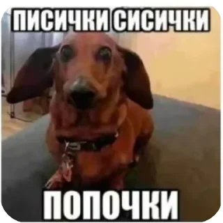 🐶 emoji well well well Telegram sticker 5 of 30