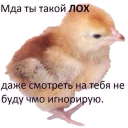 🐥 emoji Lord of memes Telegram sticker 9 of 110
