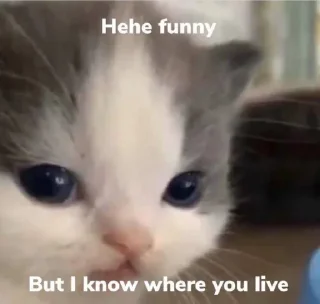 😚 emoji hehe cat meme by @nedixxi Telegram sticker 20 of 22