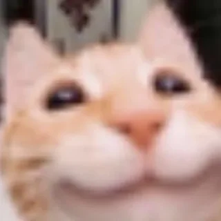 😼 emoji Хехе Telegram sticker 12 of 42