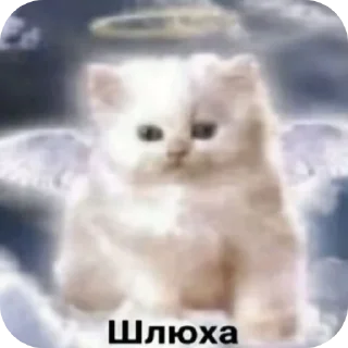 Sticker from Хехе