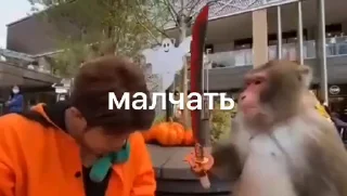 Sticker from Манки @TgEmodziBot