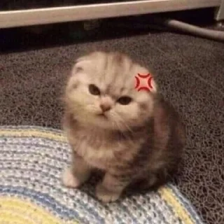 😡 emoji котики - наркотики Telegram sticker 9 of 65