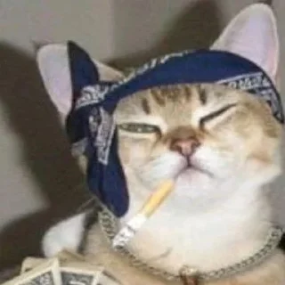 🚬 emoji котики - наркотики Telegram sticker 23 of 65