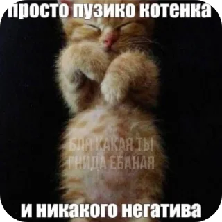 🐱 emoji Злые наркотики Telegram sticker 23 of 34