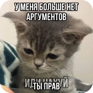 🐱 emoji Злые наркотики Telegram sticker 16 of 34