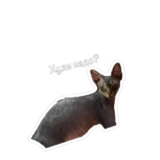 🫥 emoji Сима Telegram sticker 7 of 11