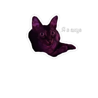 🫥 emoji Сима Telegram sticker 10 of 11
