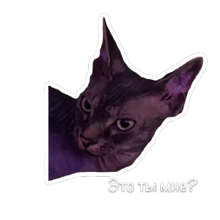 🫥 emoji Сима Telegram sticker 8 of 11