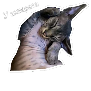 🫥 emoji Сима Telegram sticker 9 of 11