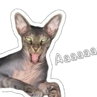 🫥 emoji Сима Telegram sticker 11 of 11
