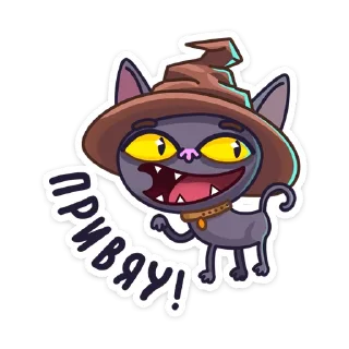 Sticker from Кот Сима :: @stickroom
