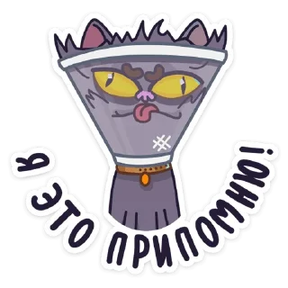 😠 emoji Кот Сима :: @stickroom Telegram sticker 22 of 49